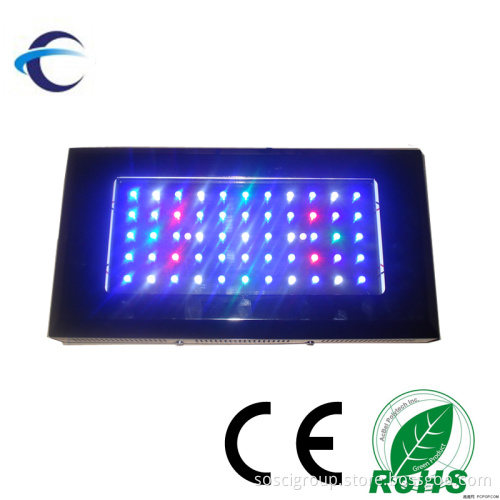 Colorful LED Aquarium Light 3W (SOSCI-55X3W-DD)